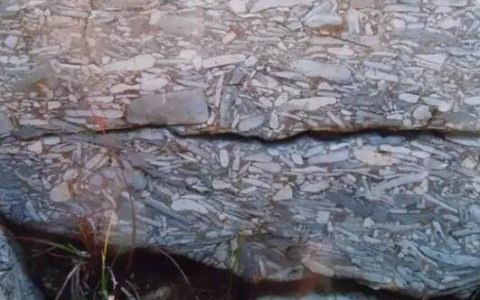 板岩是什么岩石变质的
