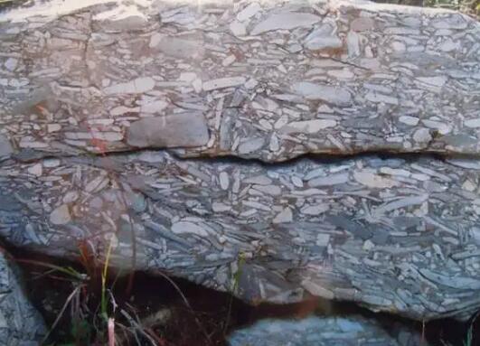 板岩是什么岩石变质的
